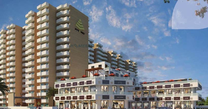 Pyramid Pride Cover Image 